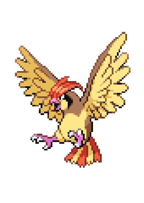 Pidgeotto