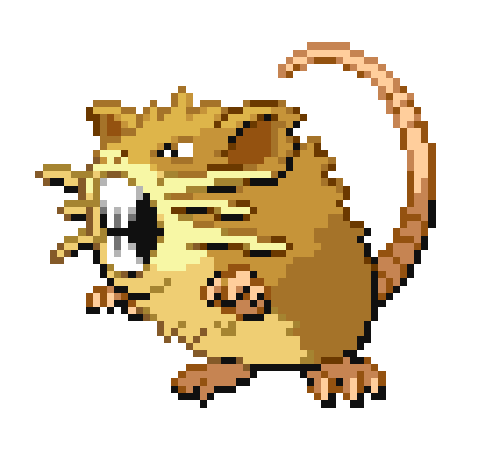 Raticate