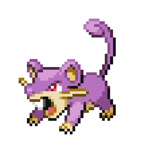 Rattata